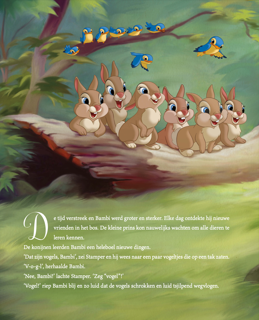 Disney Het Betoverende Sprookjesboek